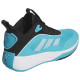 Adidas Ownthegame 3.0
